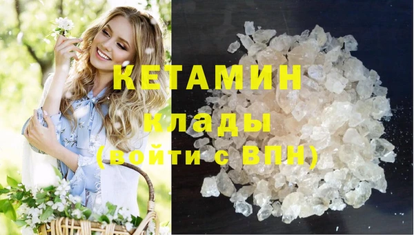 дмт Алзамай