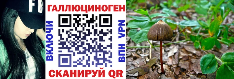 MEGA онион  Туапсе  Галлюциногенные грибы мицелий  как найти  