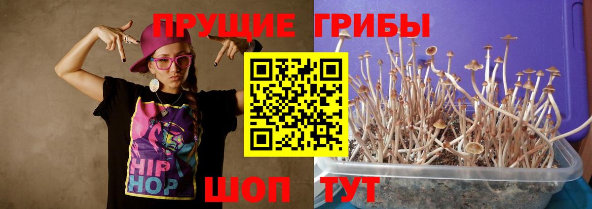 Туапсе  Галлюциногенные грибы Cubensis  Псилоцибиновые грибы MAGIC MUSHROOMS  купить наркотик  Вход с VPN 